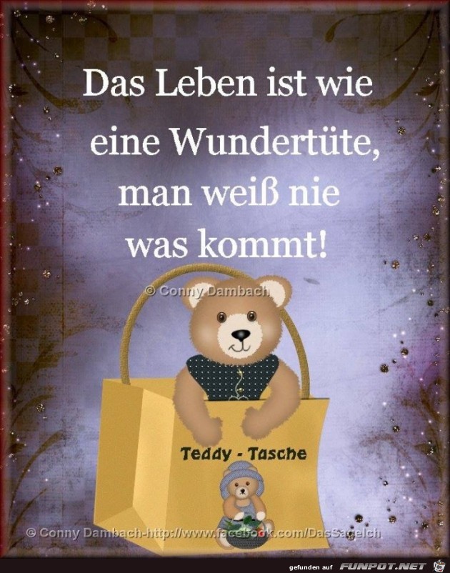 Das Leben ist eine Wundertuete