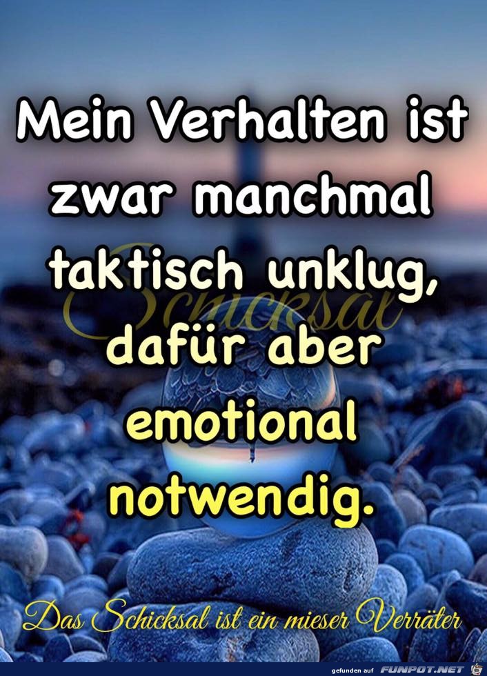 Mein Verhalten Mein Verhalten