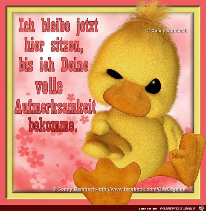 Ich bleibe jetzt hier sitzen Ich bleibe jetzt hier sitzen