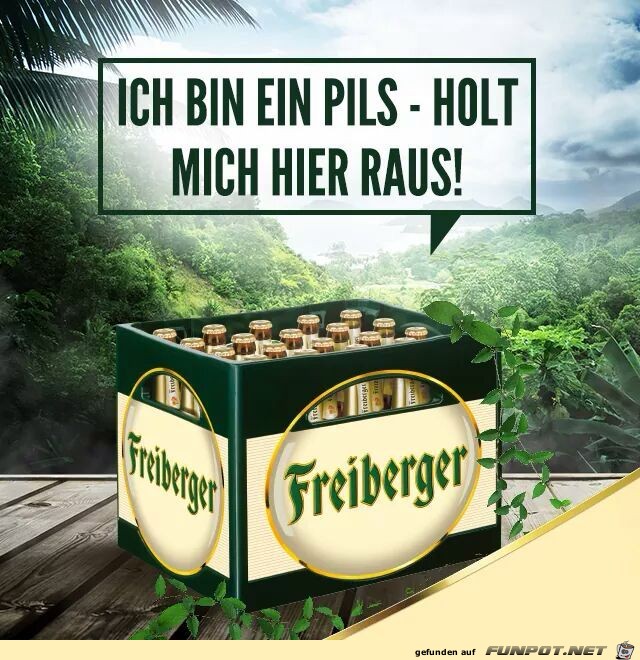 Pils