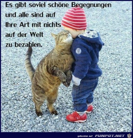 es gibt schöne Begegnungen.... es gibt schöne Begegnungen....