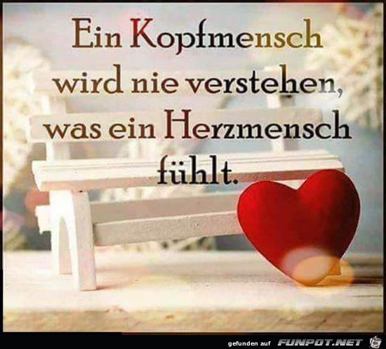 ein Kopfmensch wird nie verstehen.... ein Kopfmensch wird nie verstehen....