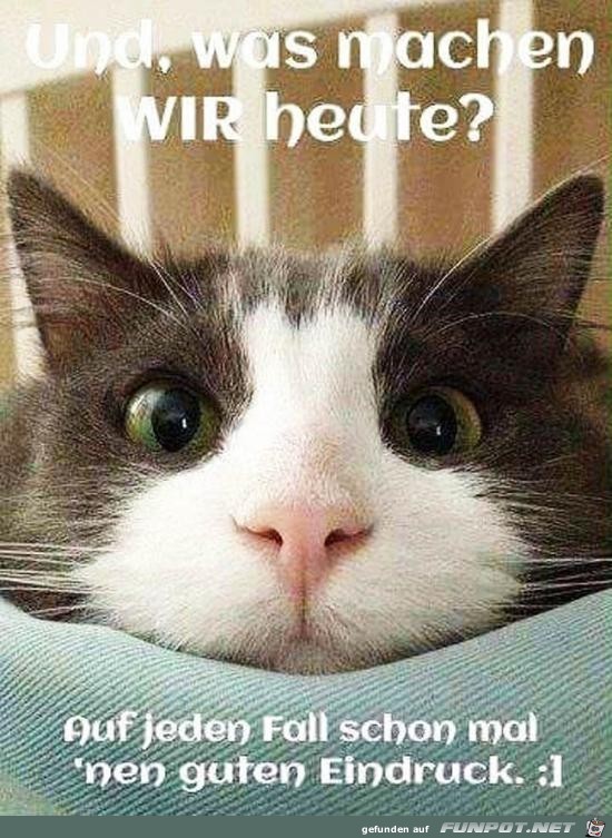 und was machen wir heute?.....