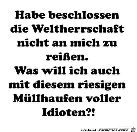 habe beschlossen die Weltherrschaft nicht an mich zu reisse habe beschlossen die Weltherrschaft nicht an mich zu reisse