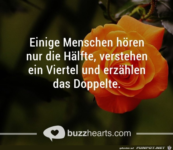 Einige hoeren nur die Haelfte Einige hoeren nur die Haelfte