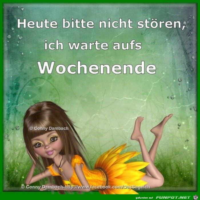 Heute bitte nicht stoeren Heute bitte nicht stoeren