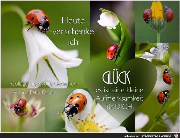 Heute verschenke ich Glueck Heute verschenke ich Glueck