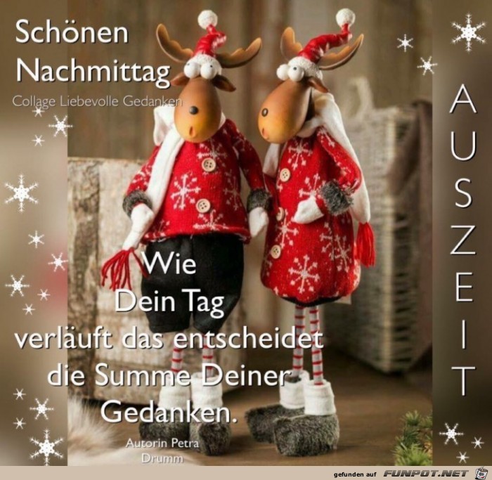 Schoenen Nachmittag Schoenen Nachmittag
