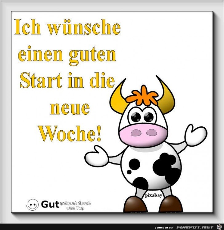 Wuensche einen guten Start