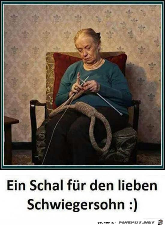 Schal Schal