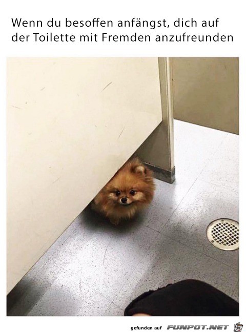 Fremde Fremde