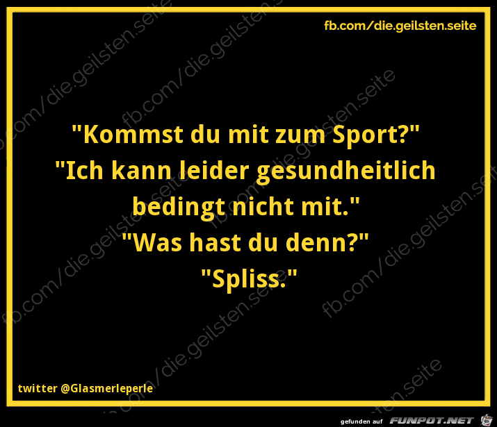 diegeilsten Spliss