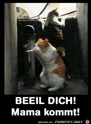 Beeil dich