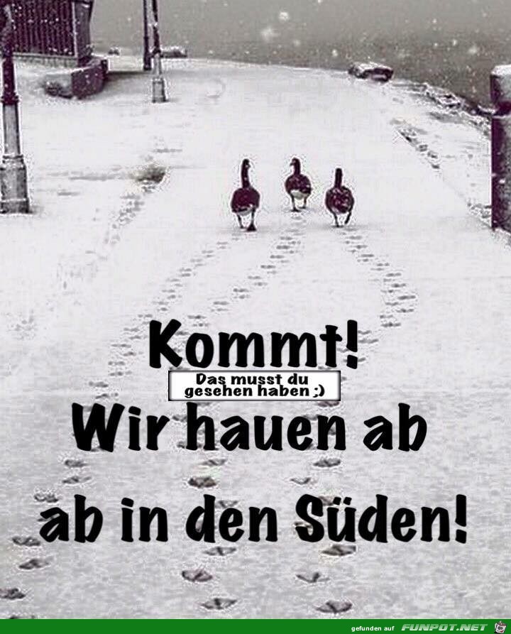 Kommt wir hauen ab Kommt wir hauen ab