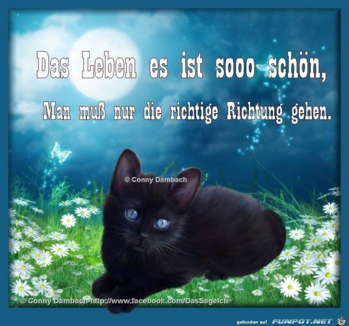 Das Leben es ist sooo schoen Das Leben es ist sooo schoen
