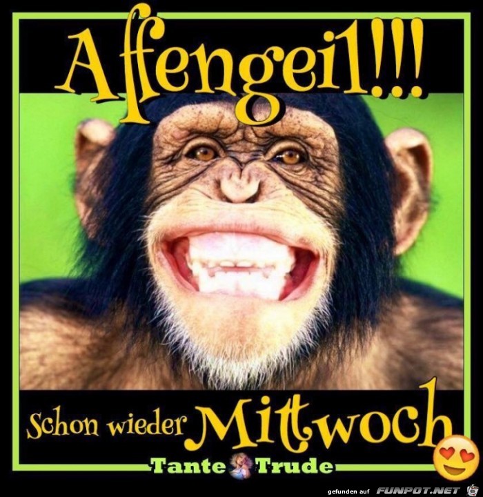 Affengeil Affengeil