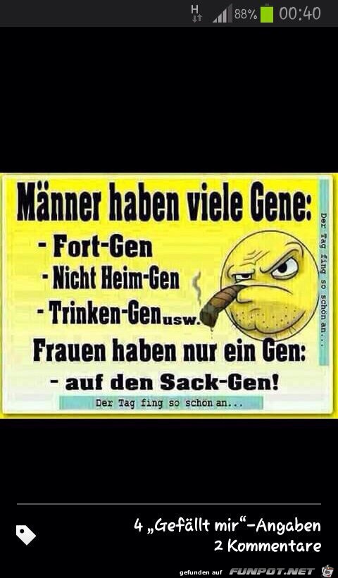 Männer haben viele Gene Männer haben viele Gene