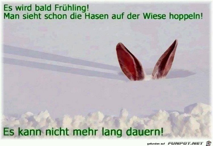 Es wird bald Fruehling