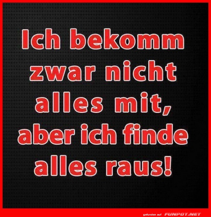 Ich finde alles raus Ich finde alles raus