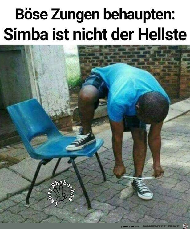 Simba ist nicht der Hellste