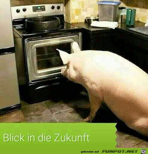 Blick in die Zukunft Blick in die Zukunft