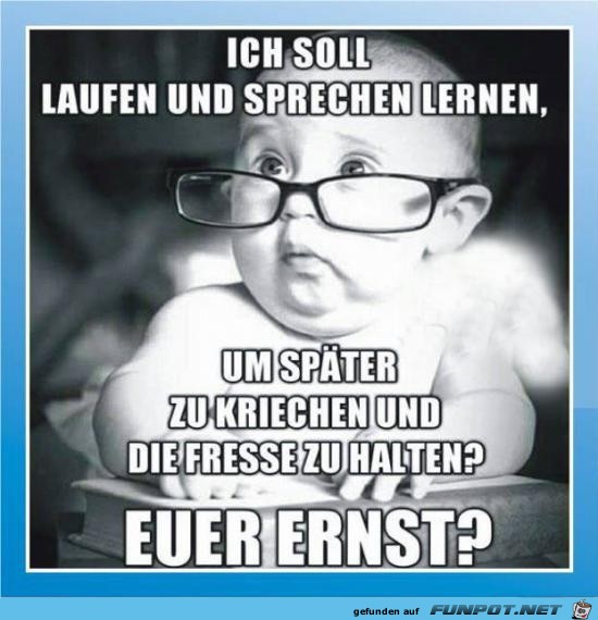 Ernsthaft? Ernsthaft?