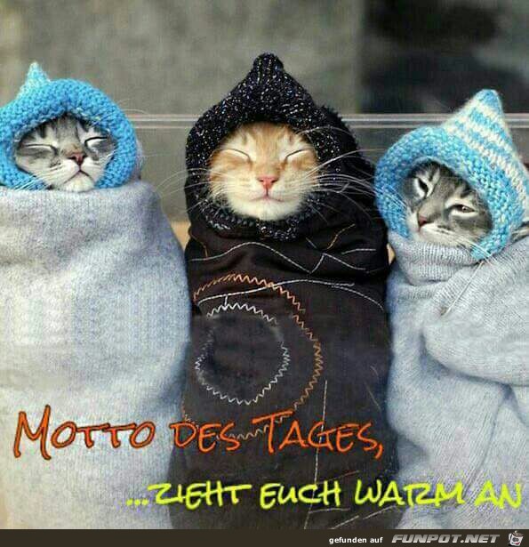 Warm anziehen