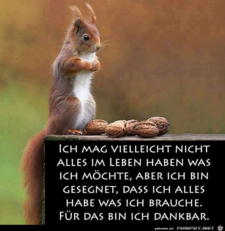 Ich mag vielleicht nicht alles Ich mag vielleicht nicht alles