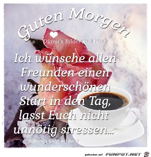 Guten Morgen