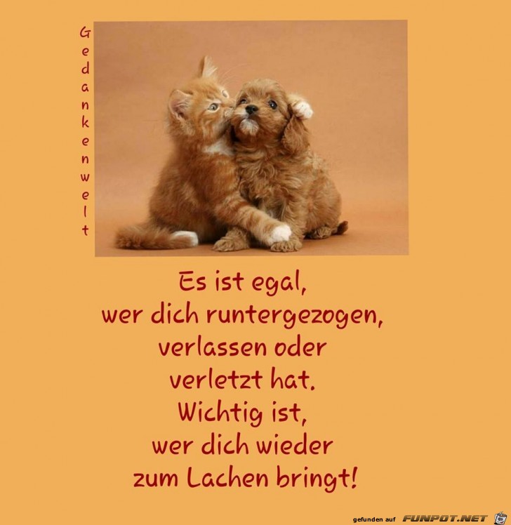 Es ist egal Es ist egal