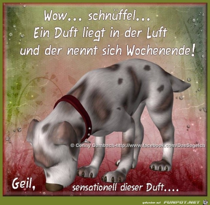 Ein Duft lirgt in der Luft Ein Duft lirgt in der Luft