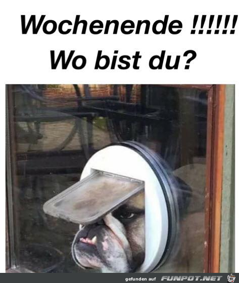 Wo bist du Wo bist du