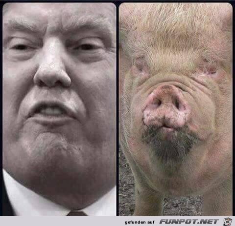 Wer von beiden ist der Präsident?? Wer von beiden ist der Präsident??