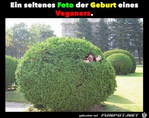 Geburt eines Veganers Geburt eines Veganers