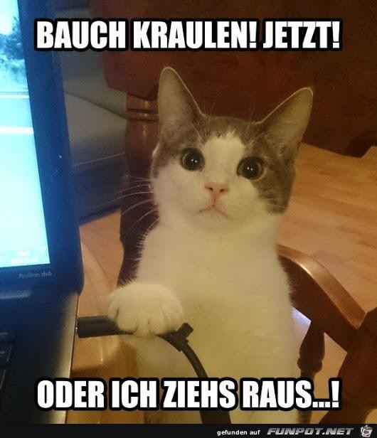 Sofort kraulen Sofort kraulen