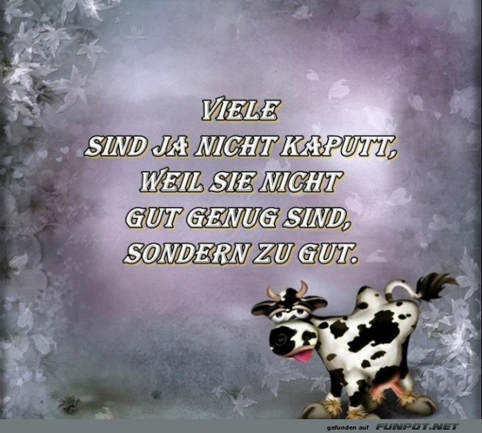 10 schne Sprche und Lebensweisheiten aus...