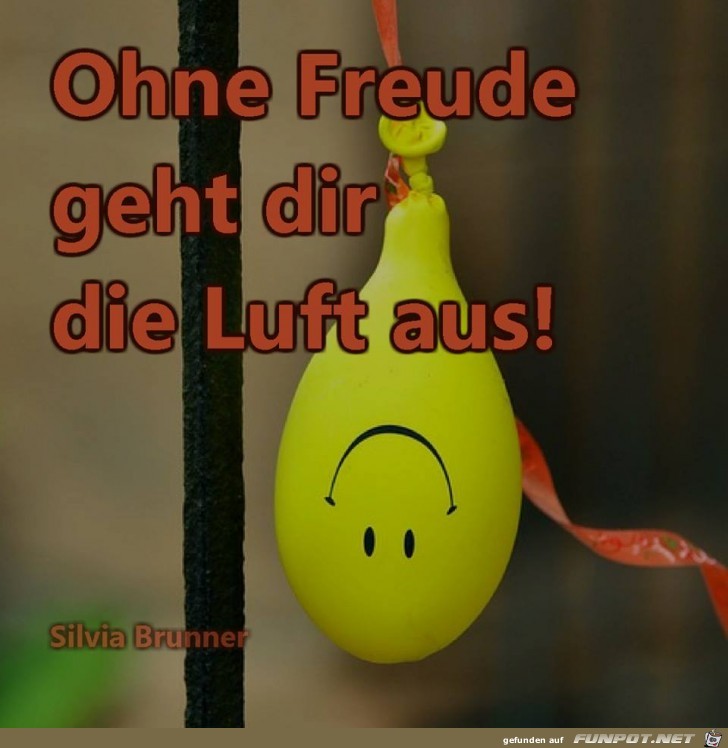Ohne Freude Ohne Freude
