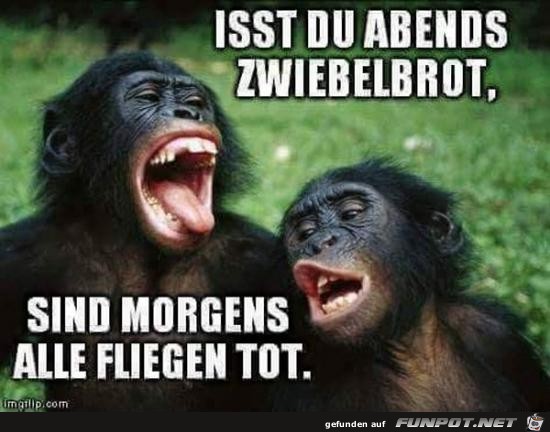 alles klar alles klar