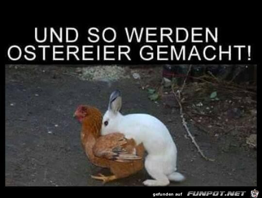 und so werden Ostereier gemacht.....