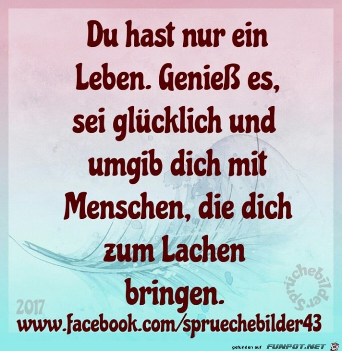 Hast nur ein Leben