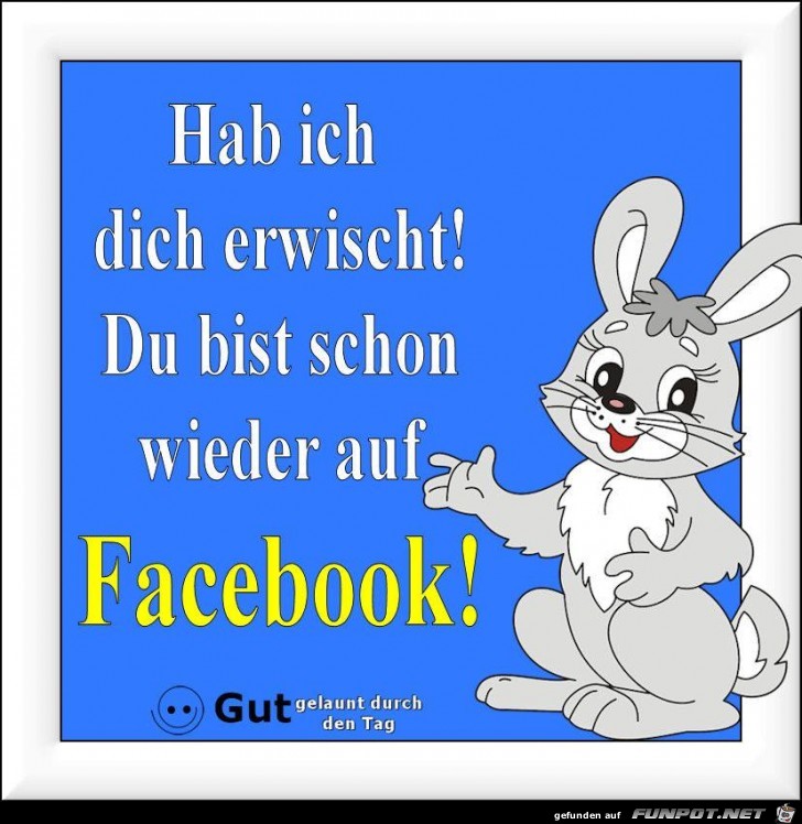 Hab ich dich erwischt Hab ich dich erwischt