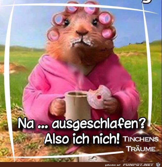 Na ausgeschlafen Na ausgeschlafen