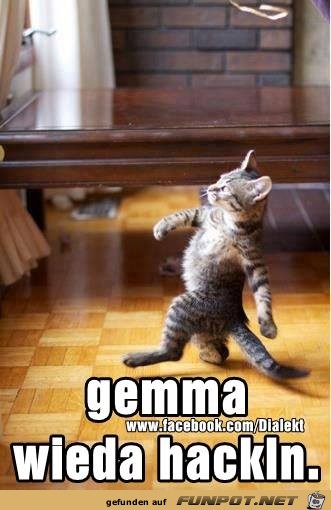 Gemma wieda hackeln Gemma wieda hackeln