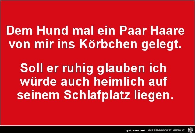 Wie du mir Wie du mir