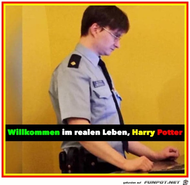 Harry Potter Harry Potter