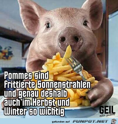 Frittierte Sonnenstrahlen Frittierte Sonnenstrahlen
