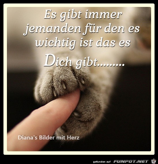 Es gibt immer jemanden Es gibt immer jemanden
