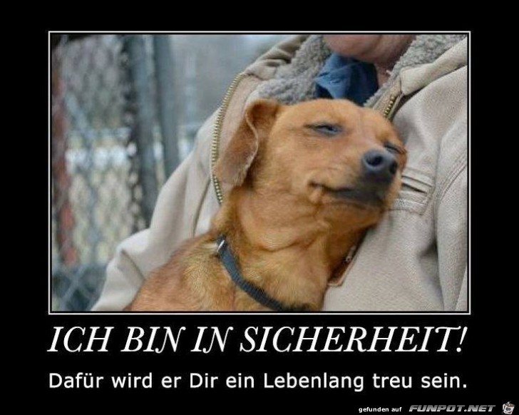 Bin in Sicherheit Bin in Sicherheit