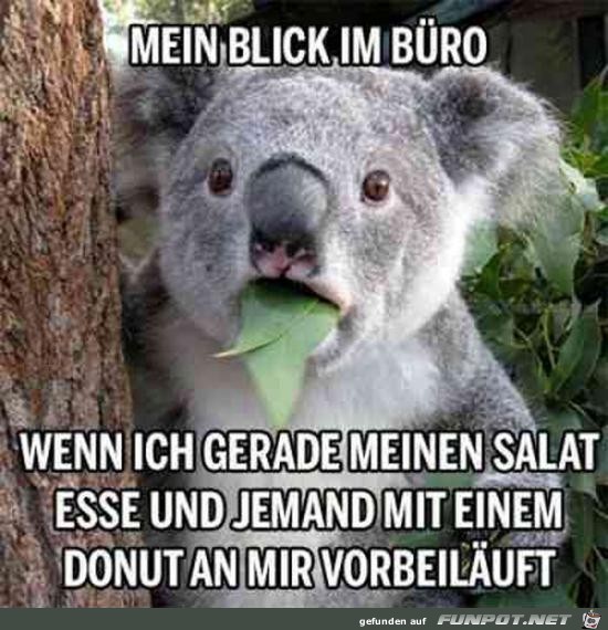 mein BlickimBro.....