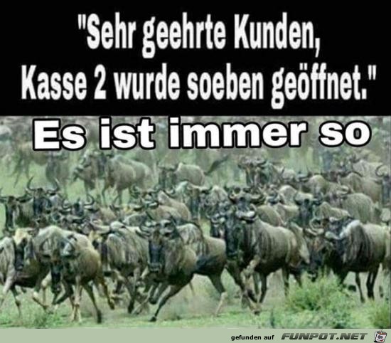 Immer dasselbe